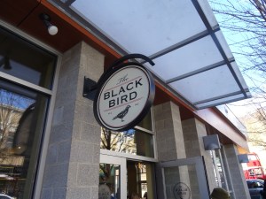 Blackbird in Asheville