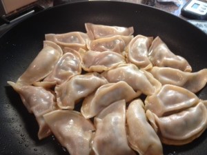 Cooking the potstickers