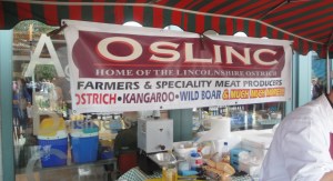Oslinc Store